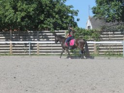 img_3177_web